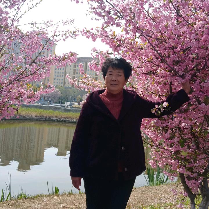 苏兰琴