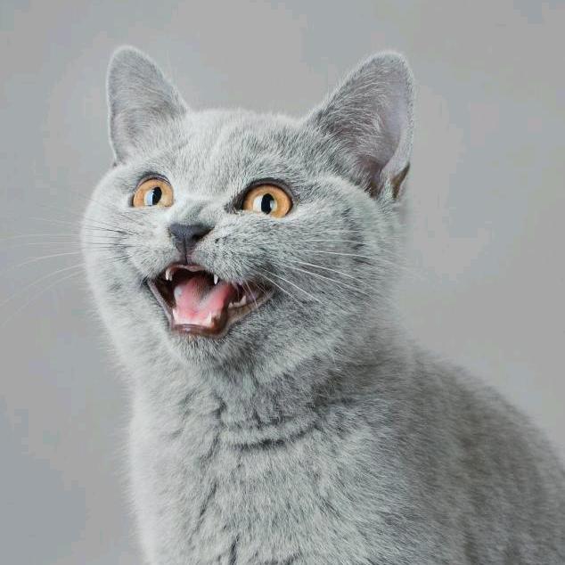 用户4669845074475想