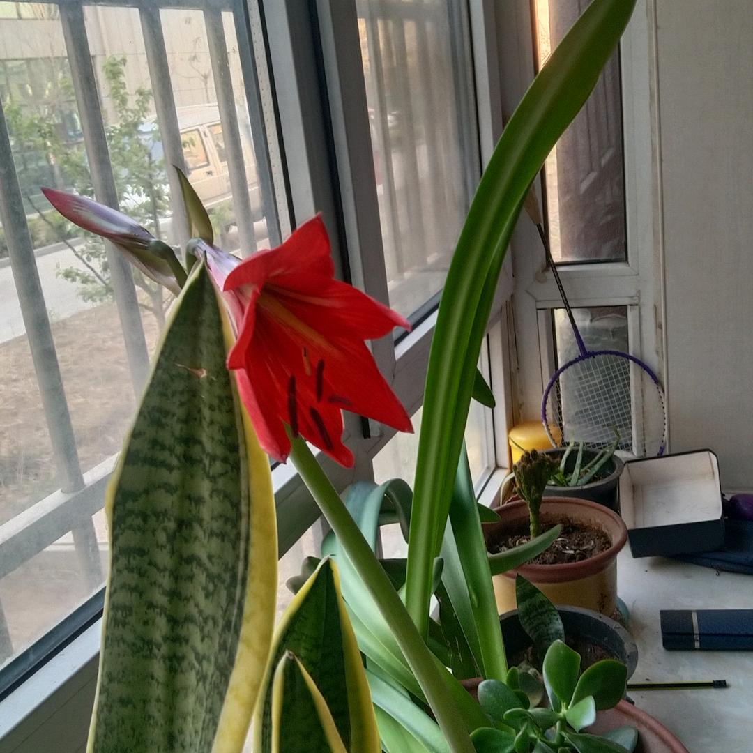 用户1415648651559梅