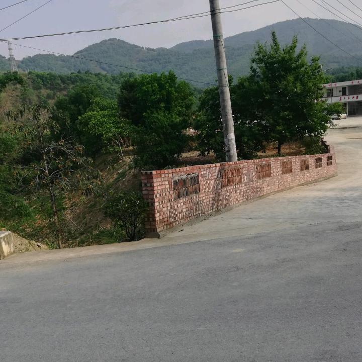 杨光吉
