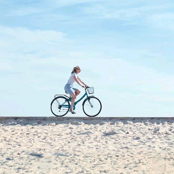 @梅花香自苦寒来