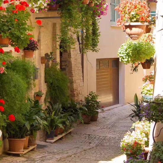 宝乐爷爷老顽童