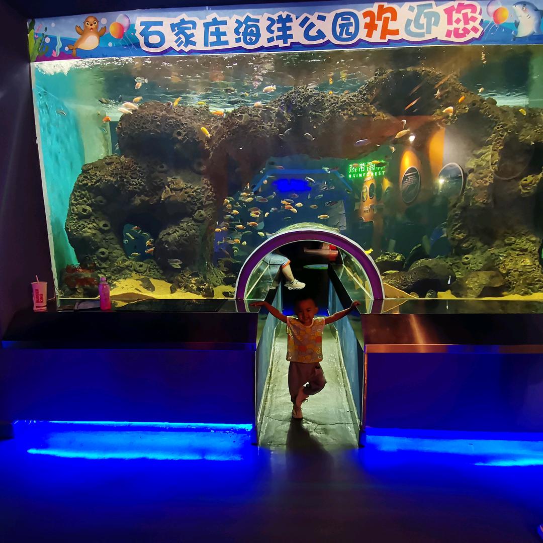 苏格拉底大文豪