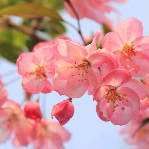 一抹阳光YG