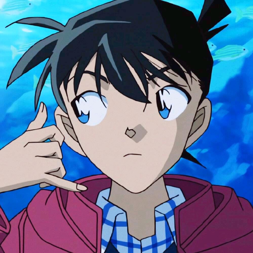 胡桃淘涛