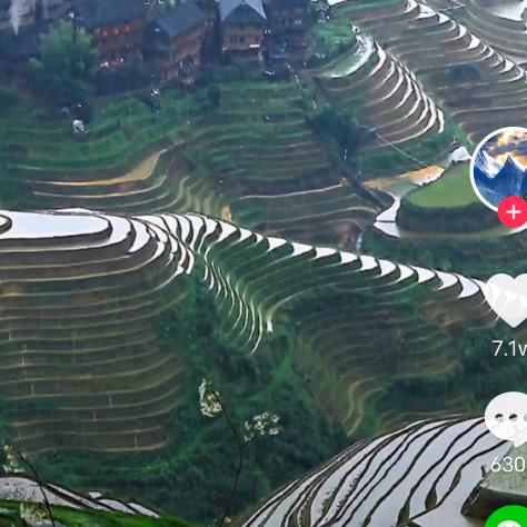 ，羊姐