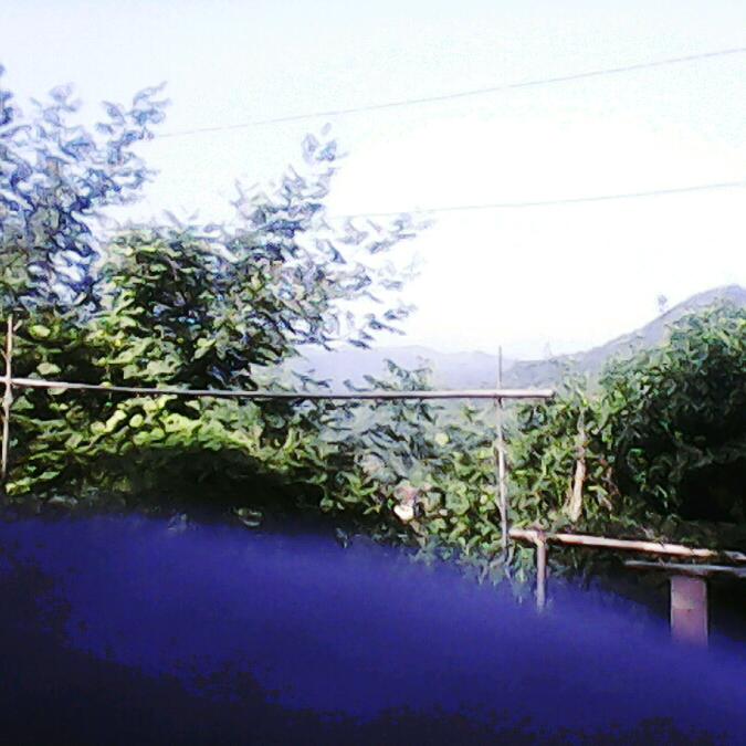 人生路