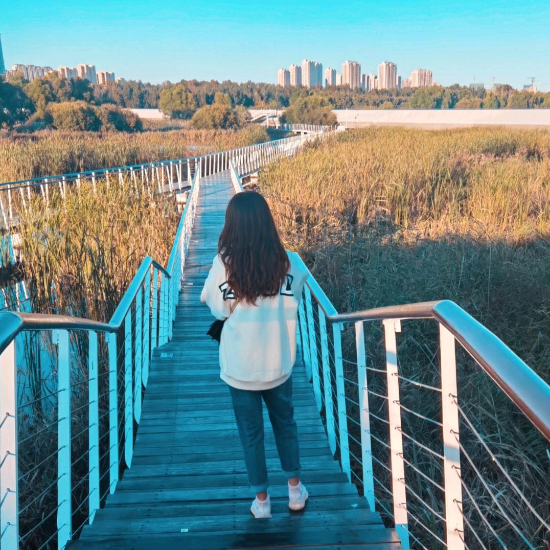 我是喜欢LZL的林林呦