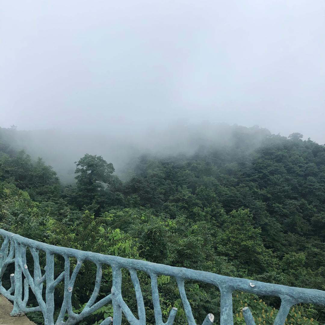 自古真情留不住，总是套路得人心