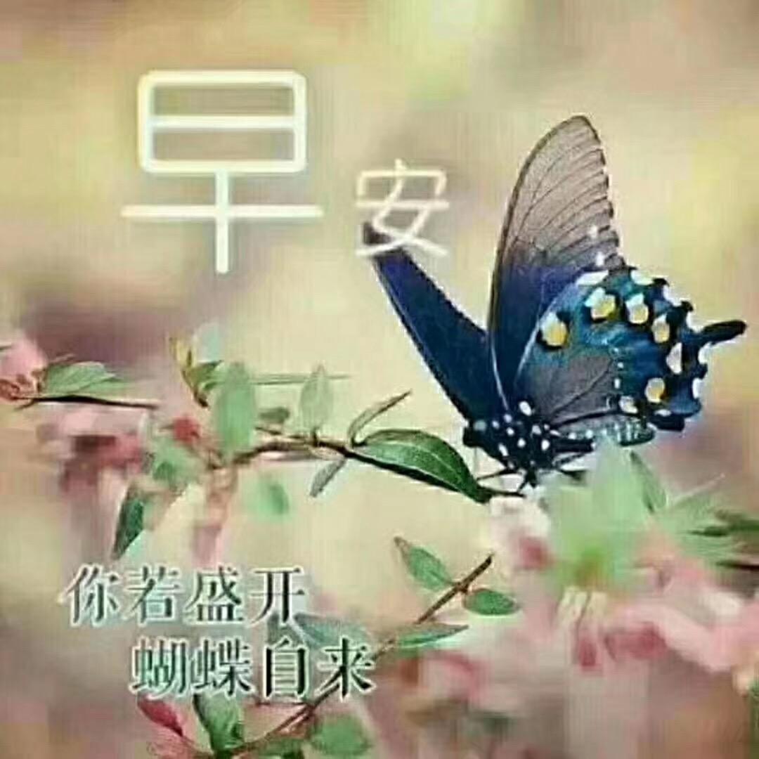 茶的客栈
