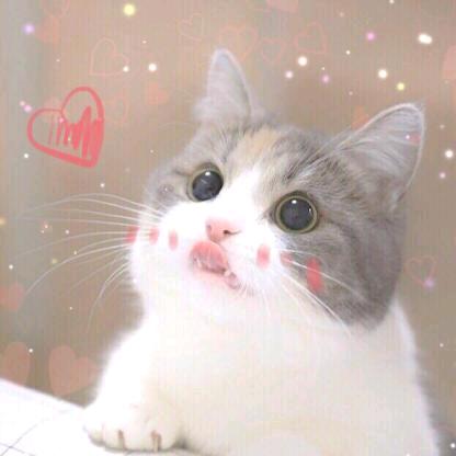 ♛尛糖豆♛
