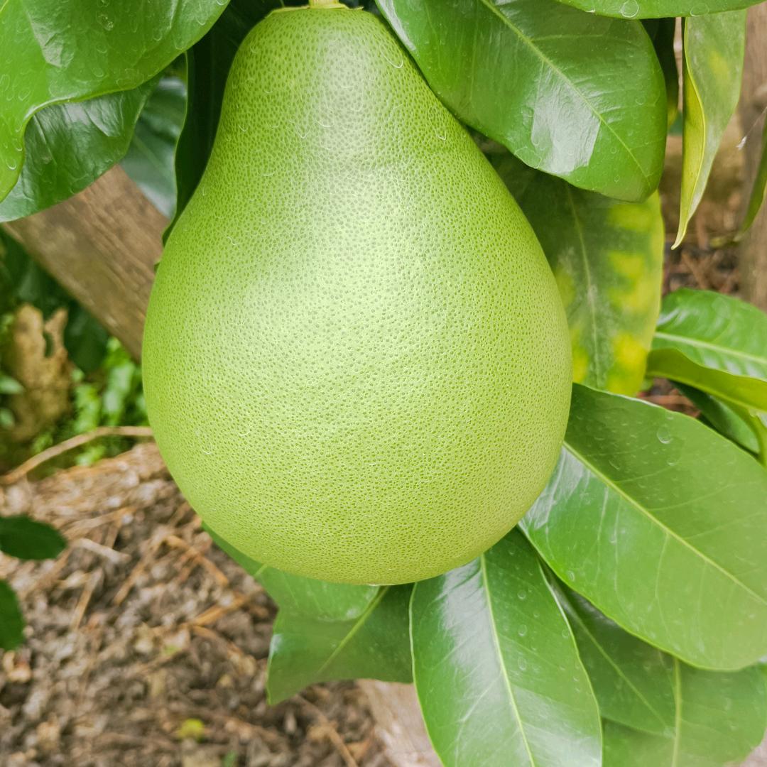 展兴二手车买卖