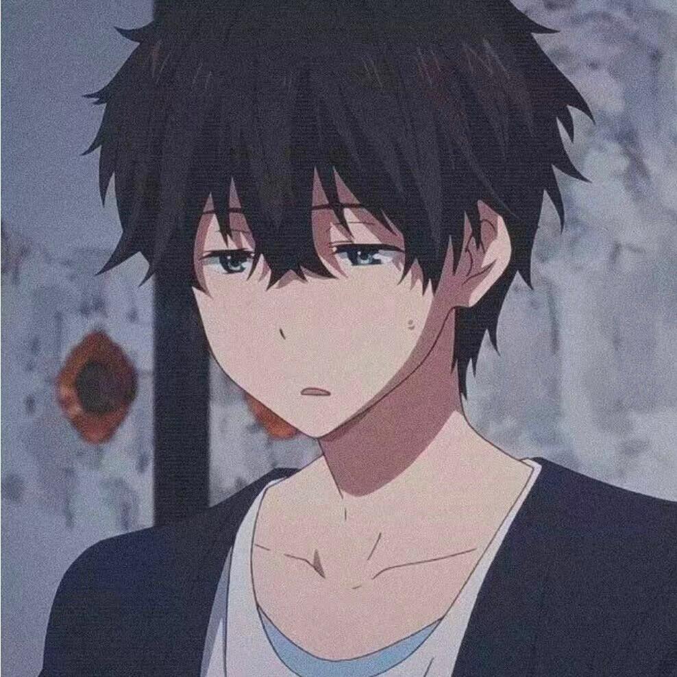 赵赵 ✨