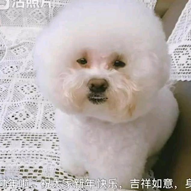 百花齐放