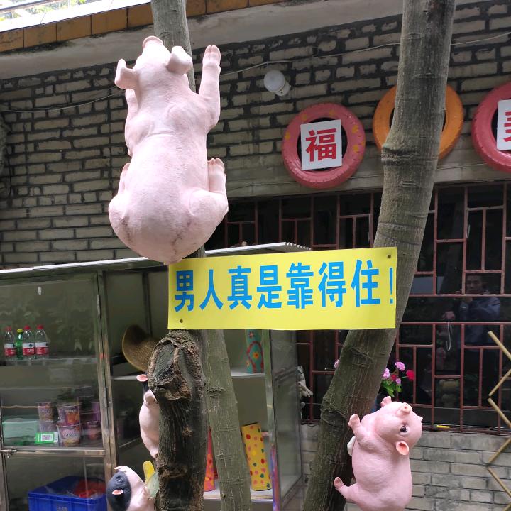 皮蛋Q