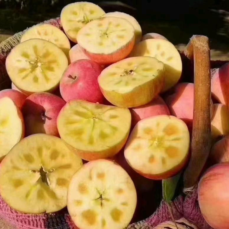 此情可待
