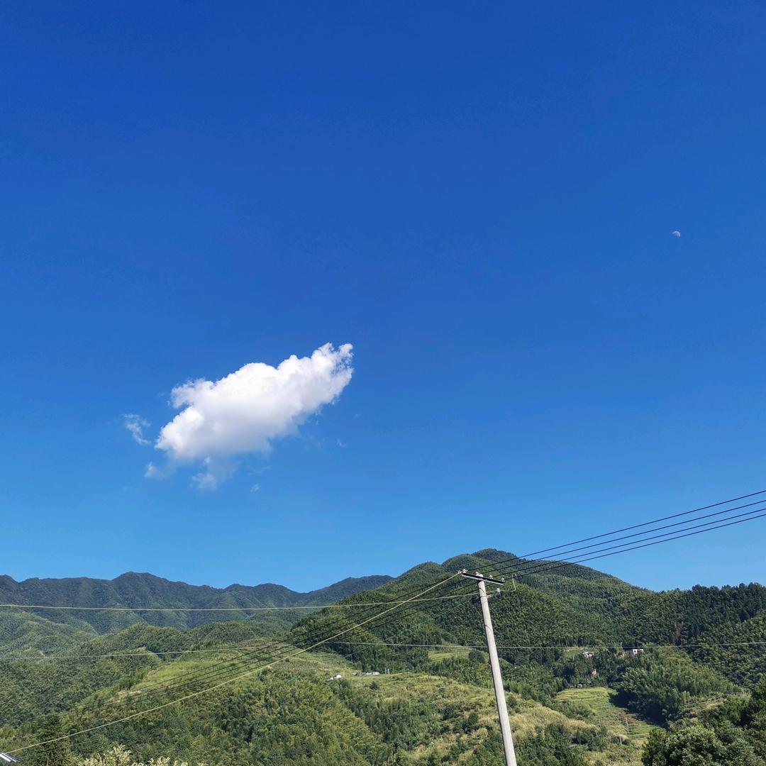 莫伤亦