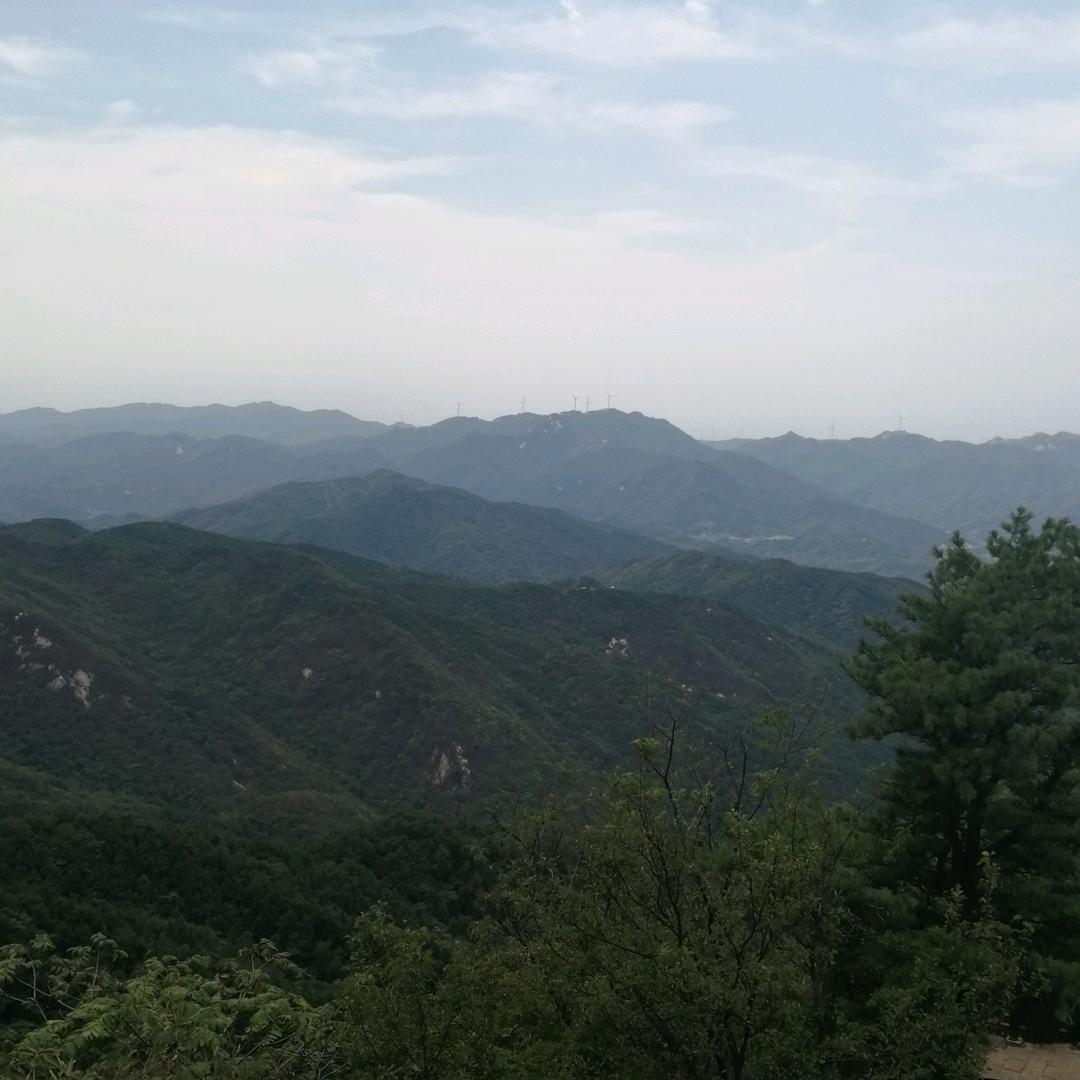 永往直前