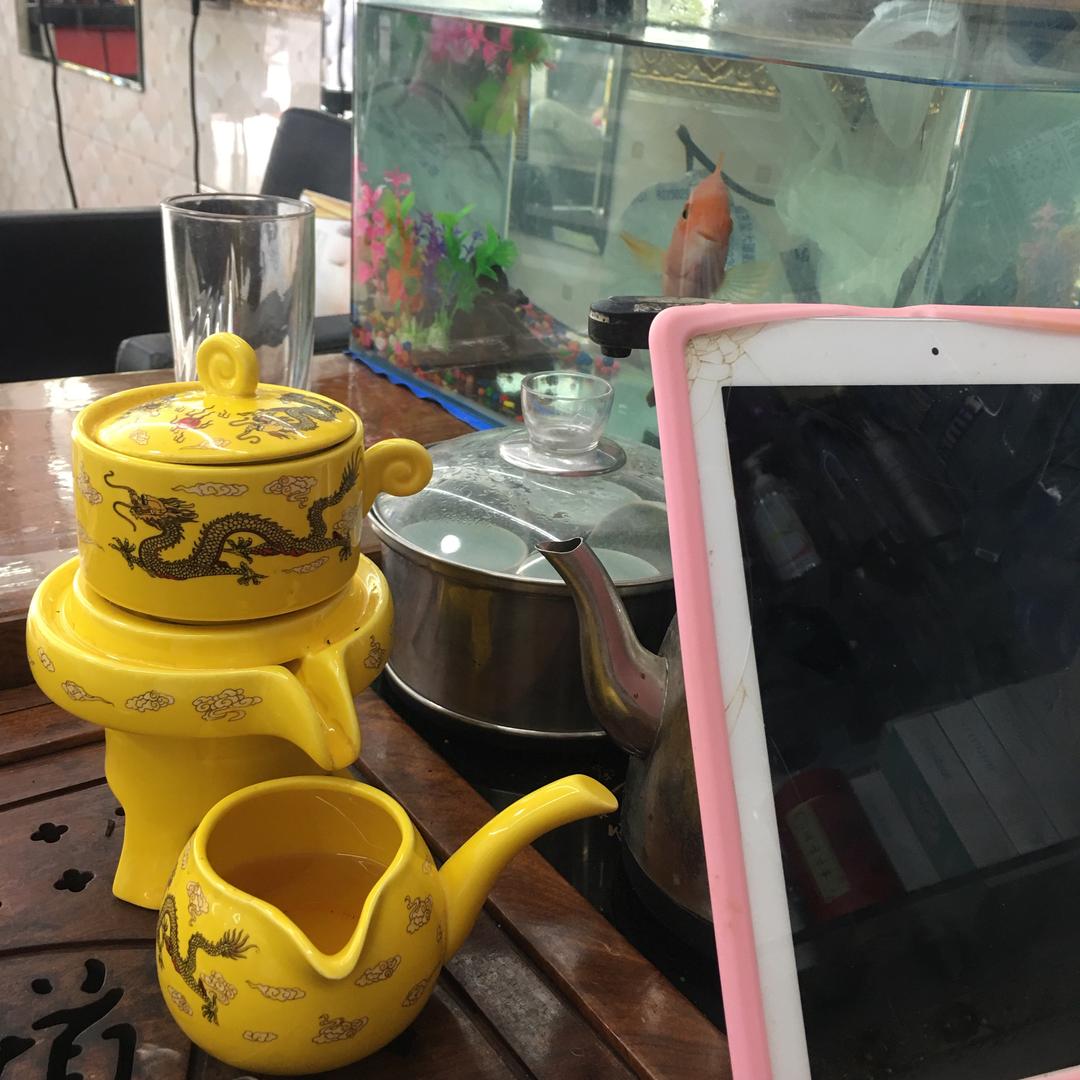 情为何物