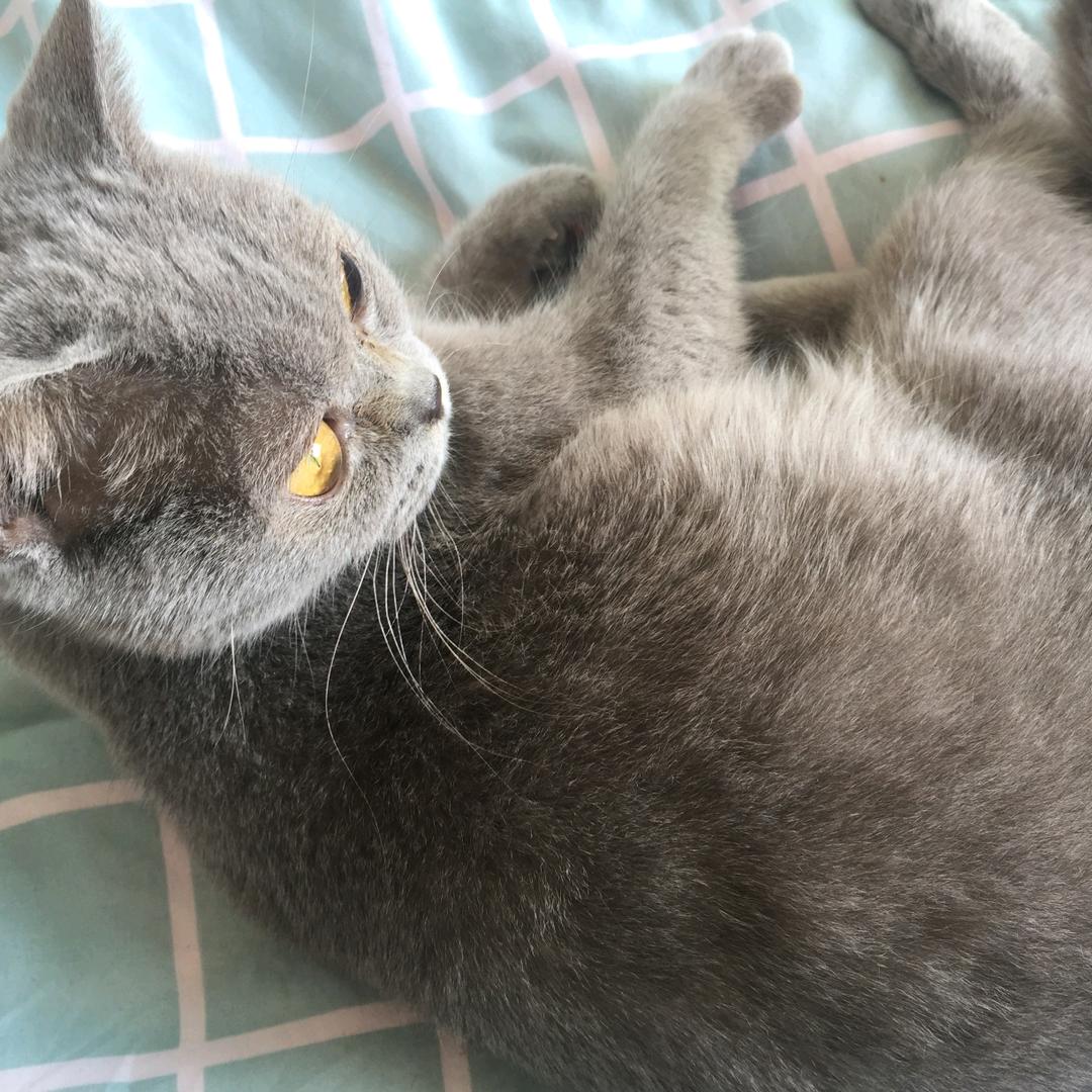 《猴8888》선샤인