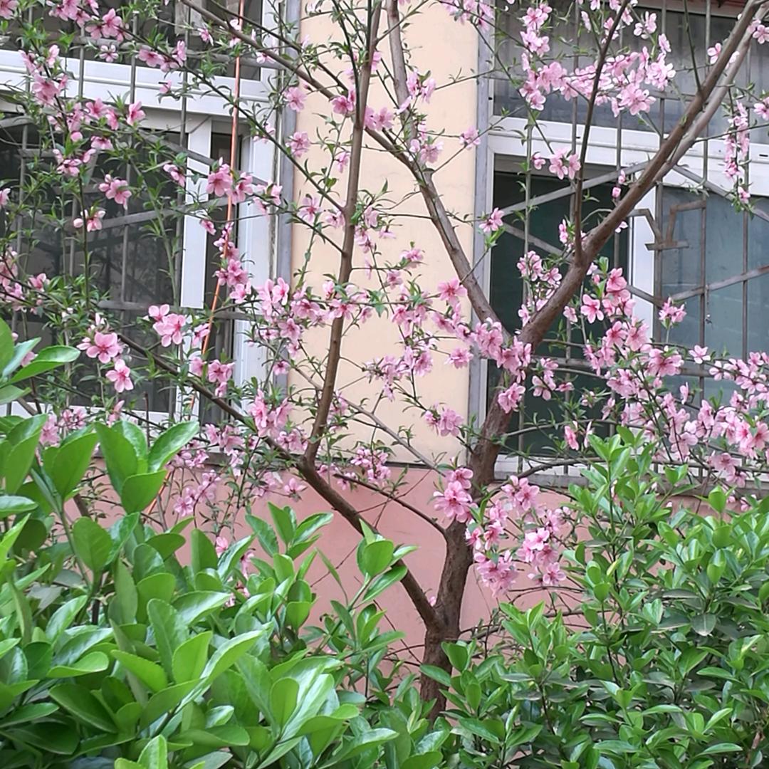 铜铝锡生铁焊接掏螺丝