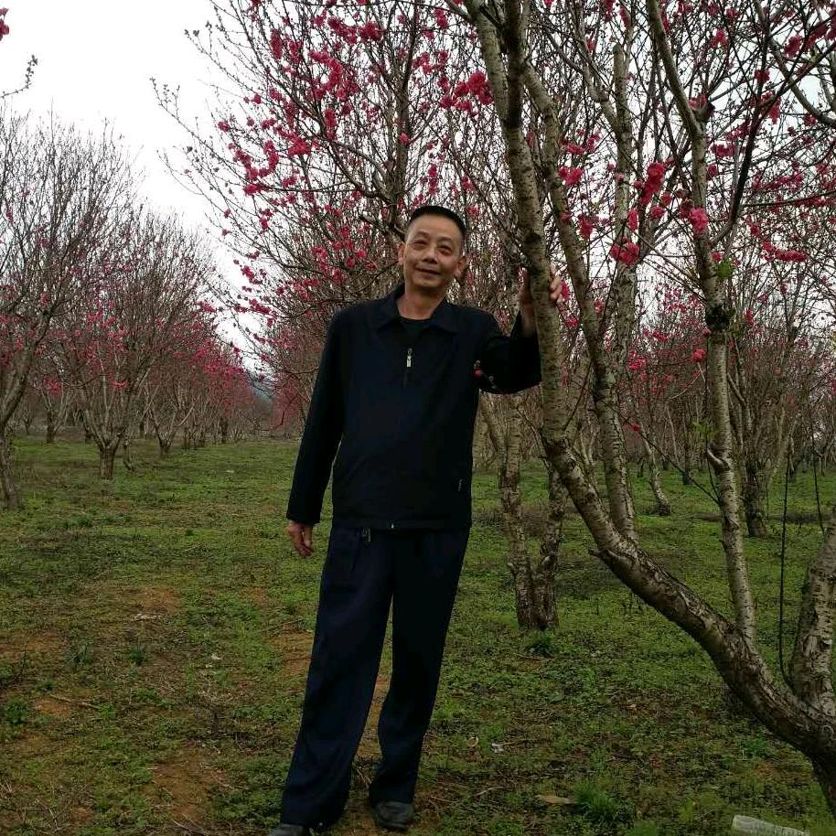 王zhenglin