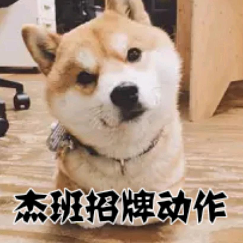 多吃点菜🍜