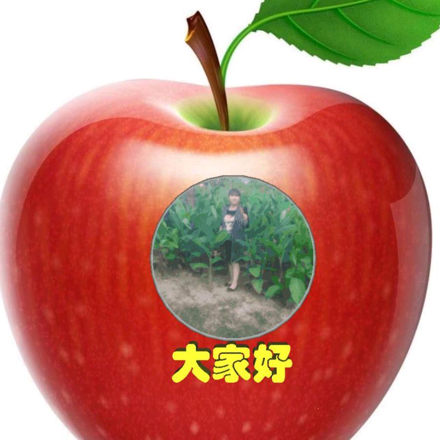 雪莲花
