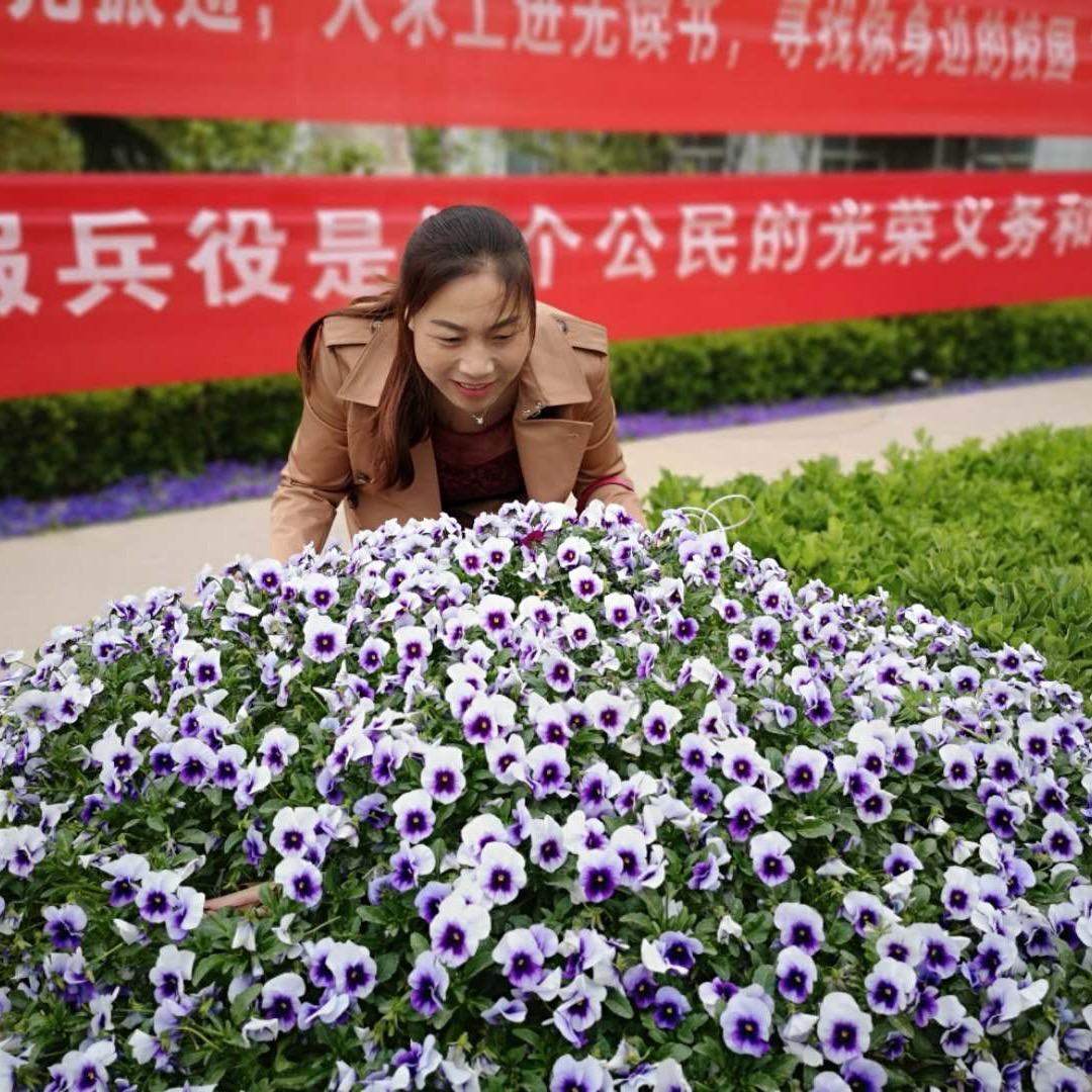 用户开心每一天