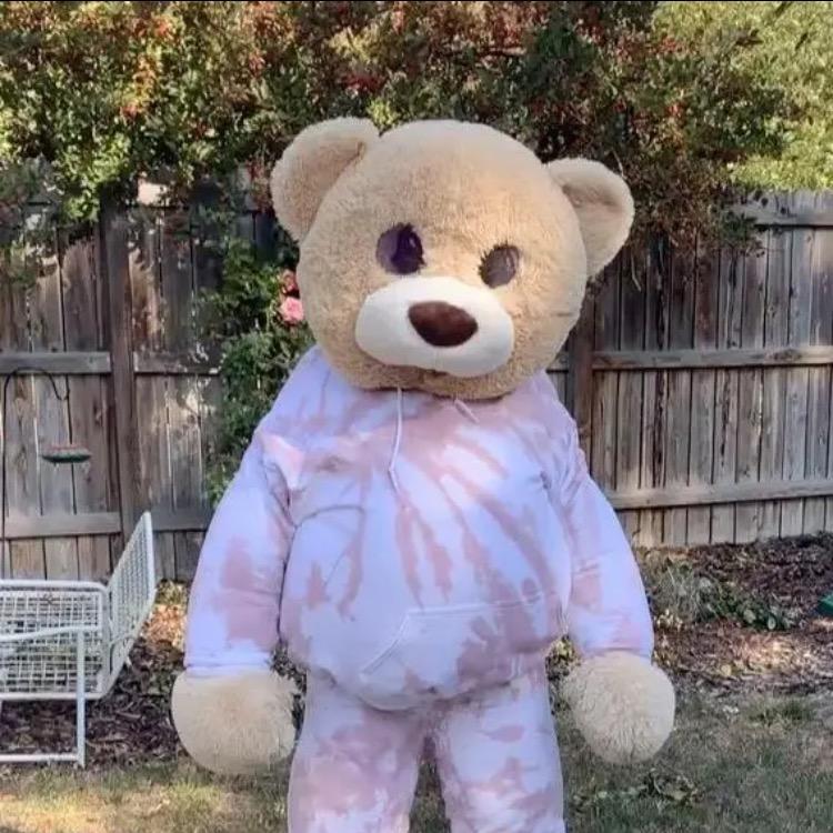 charmingbear