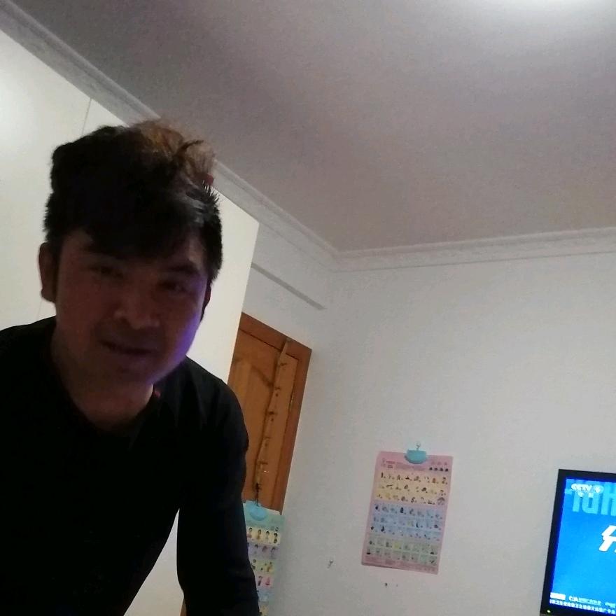 毛毛毛毛