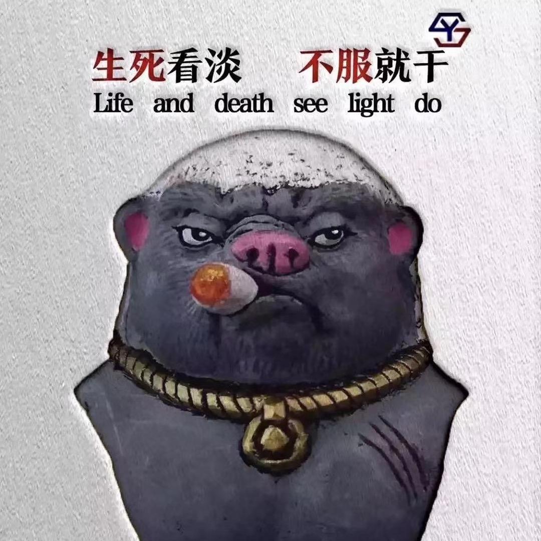 陕西平头哥