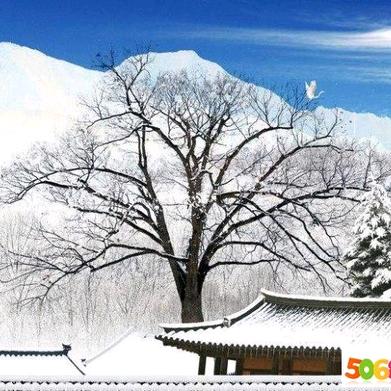 日照市华疆节能设备推广有限公司