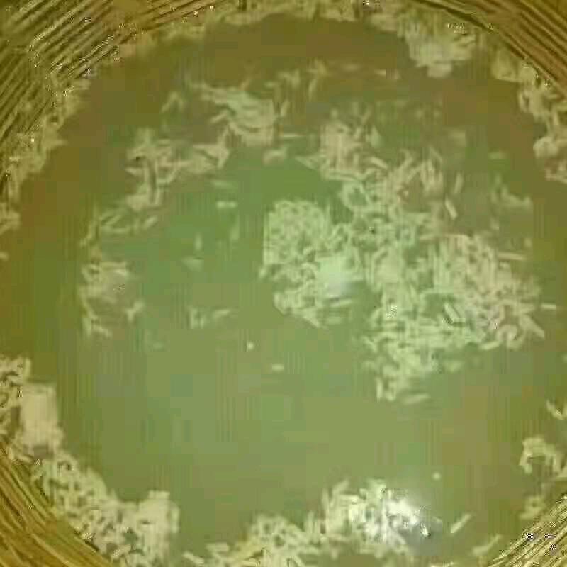 党黄酒