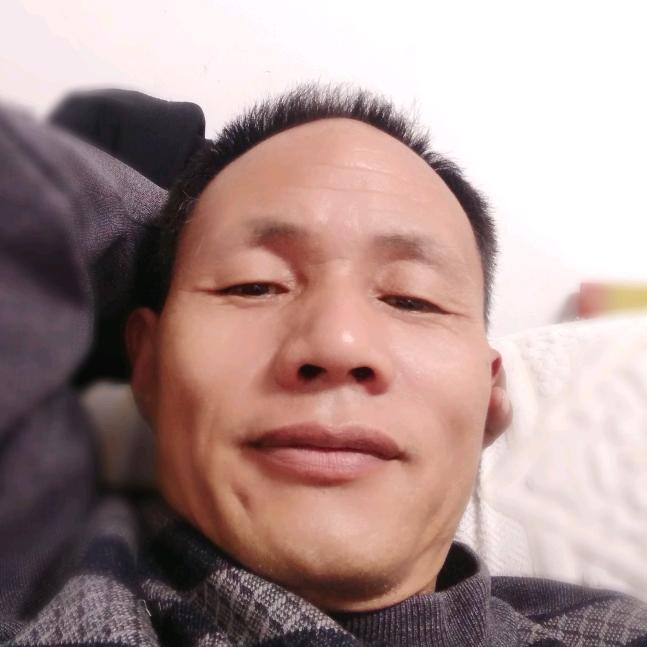 胡杨