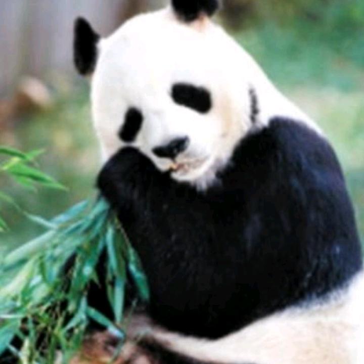 没有票闲逛