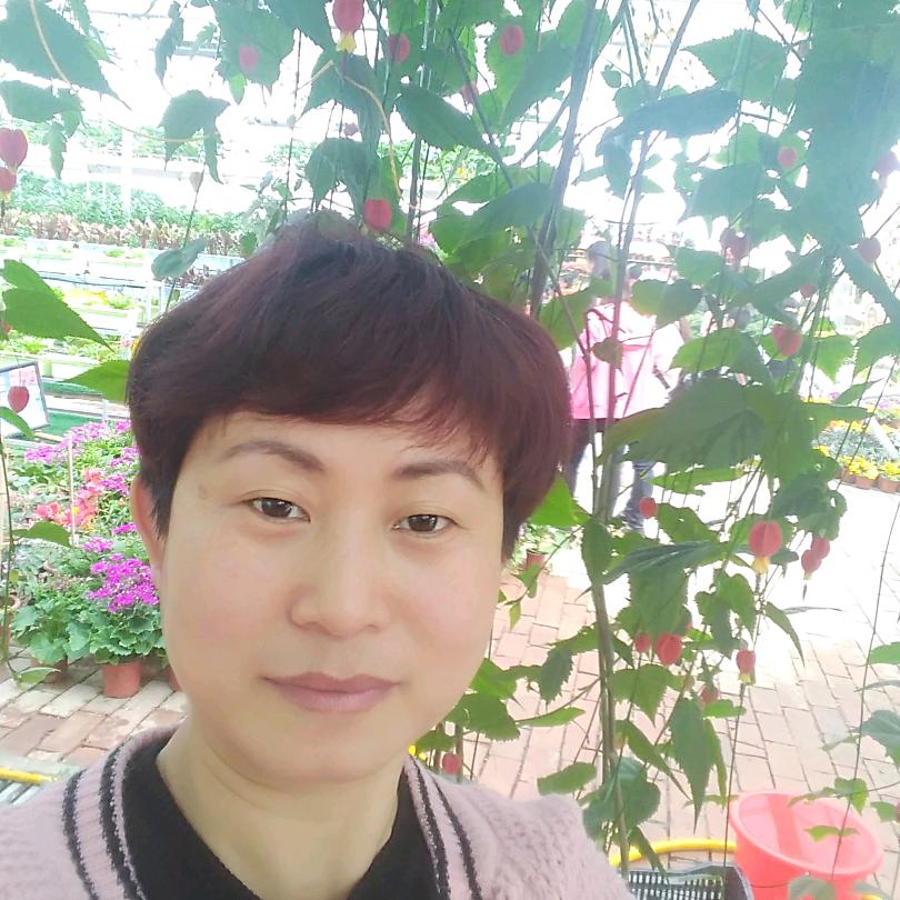我心飞翔