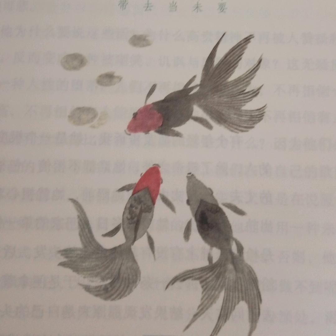 赶海去