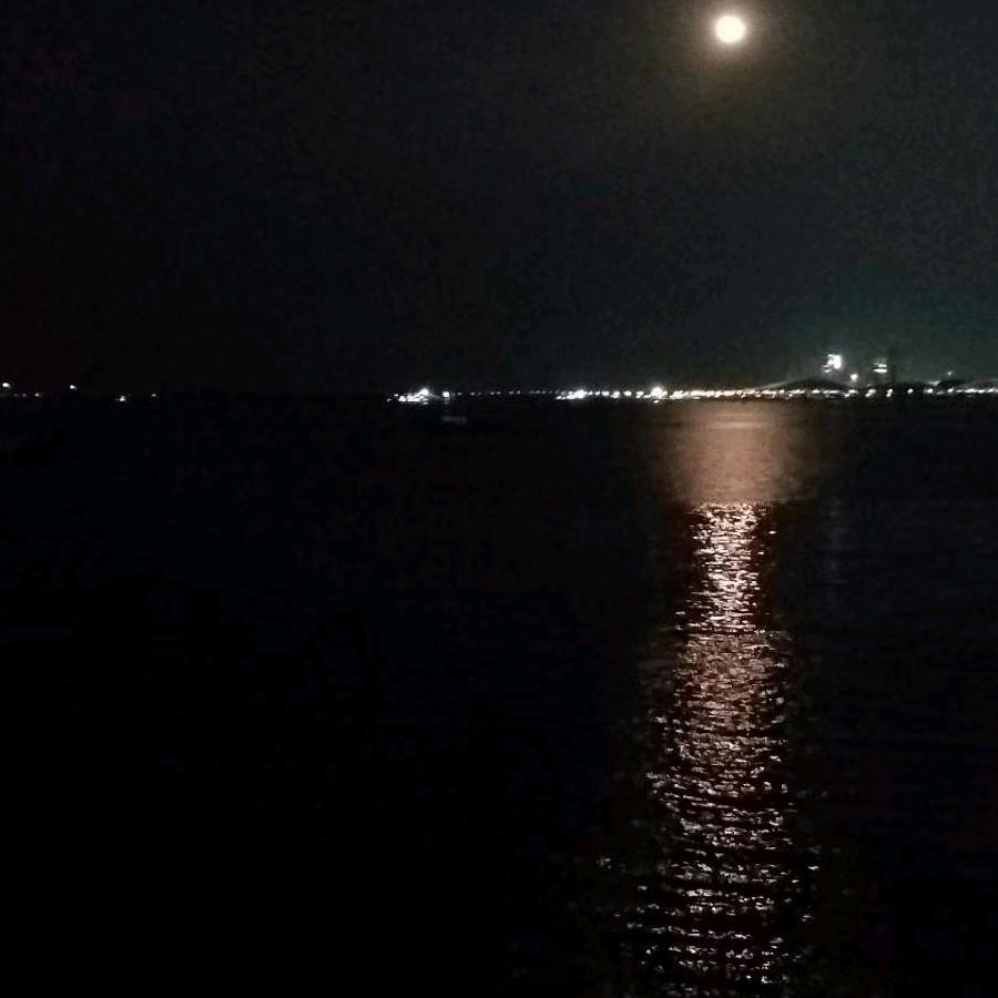 鸿运解说