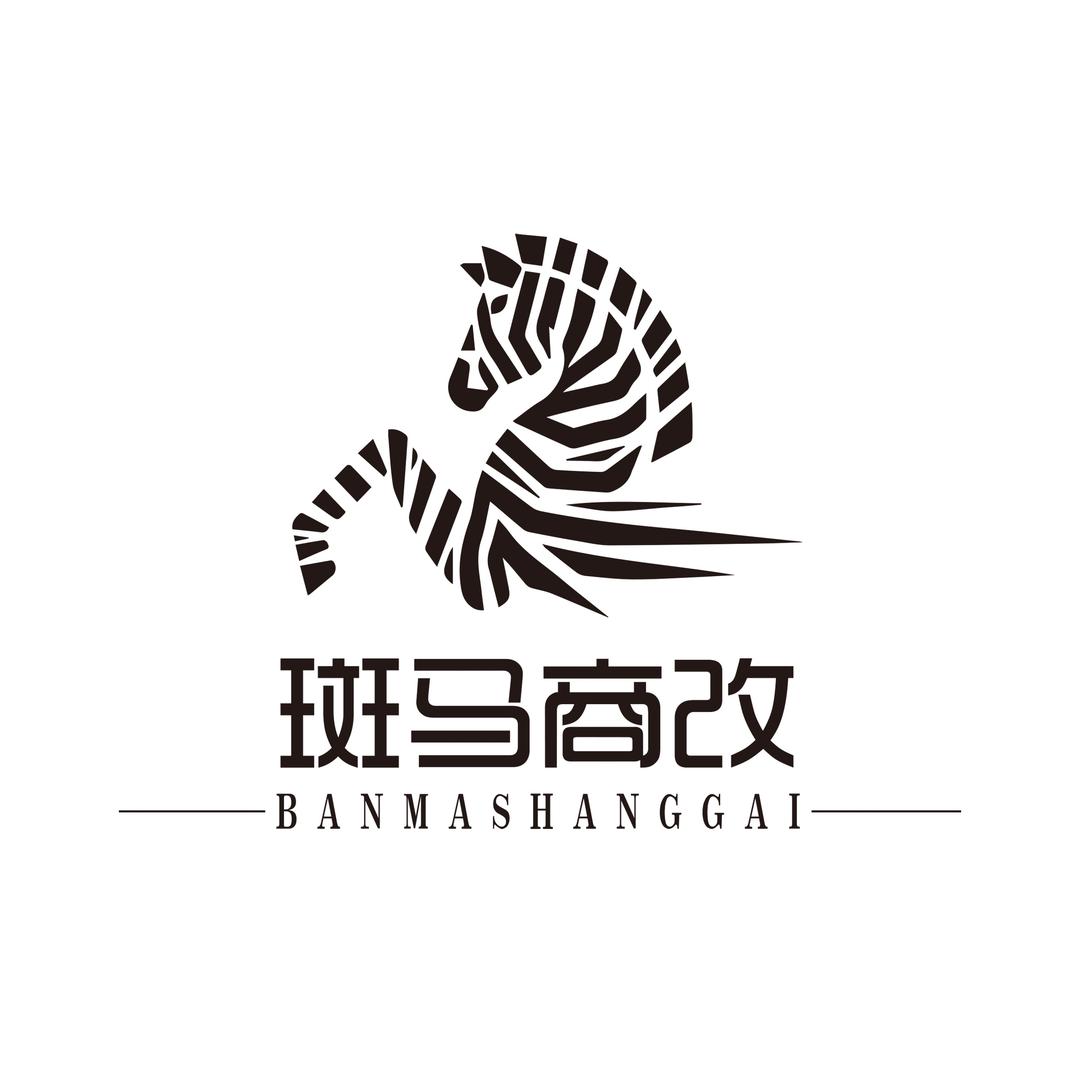 深圳市斑马未来汽车科技有限公司
