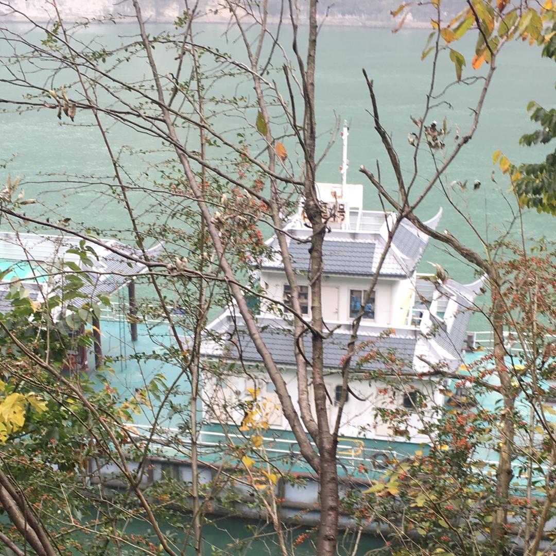 💕馨语心愿💕