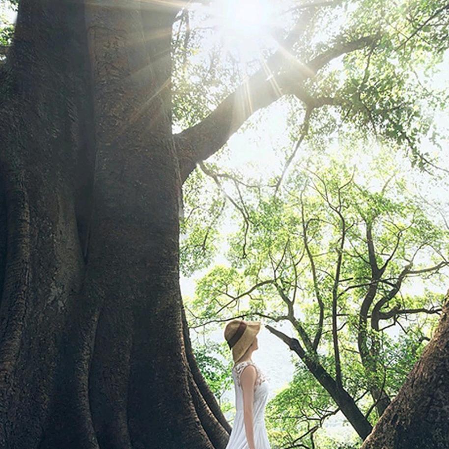 惠子（在江苏）