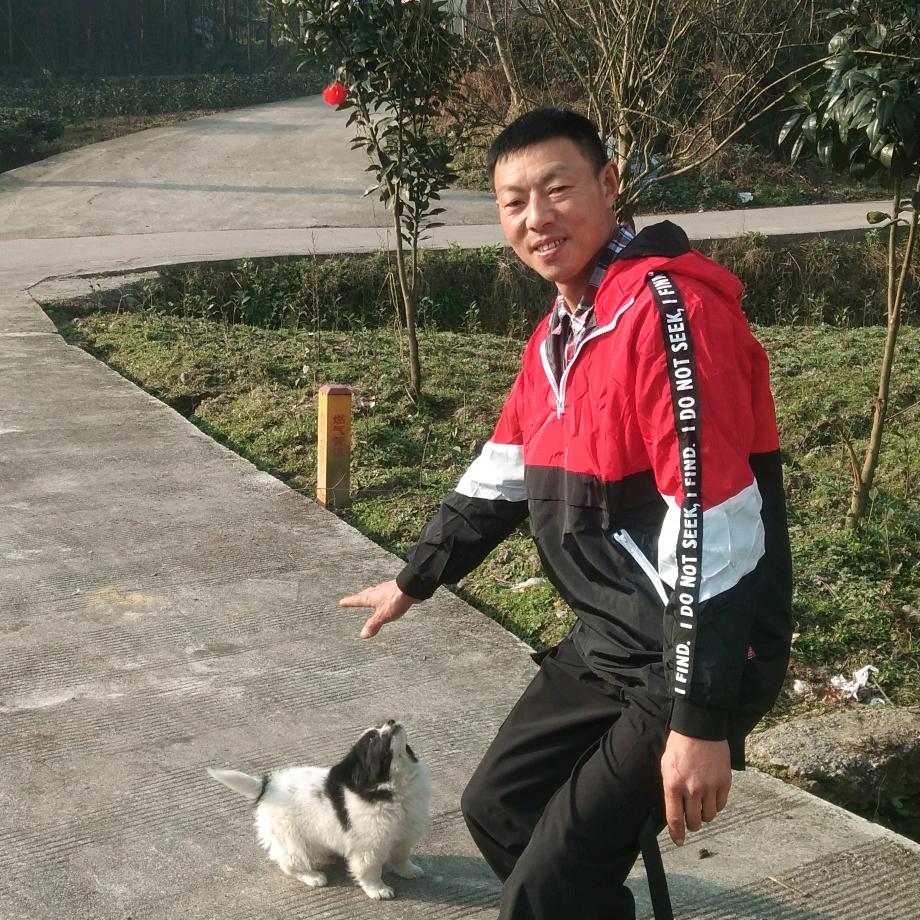 美丽人生
