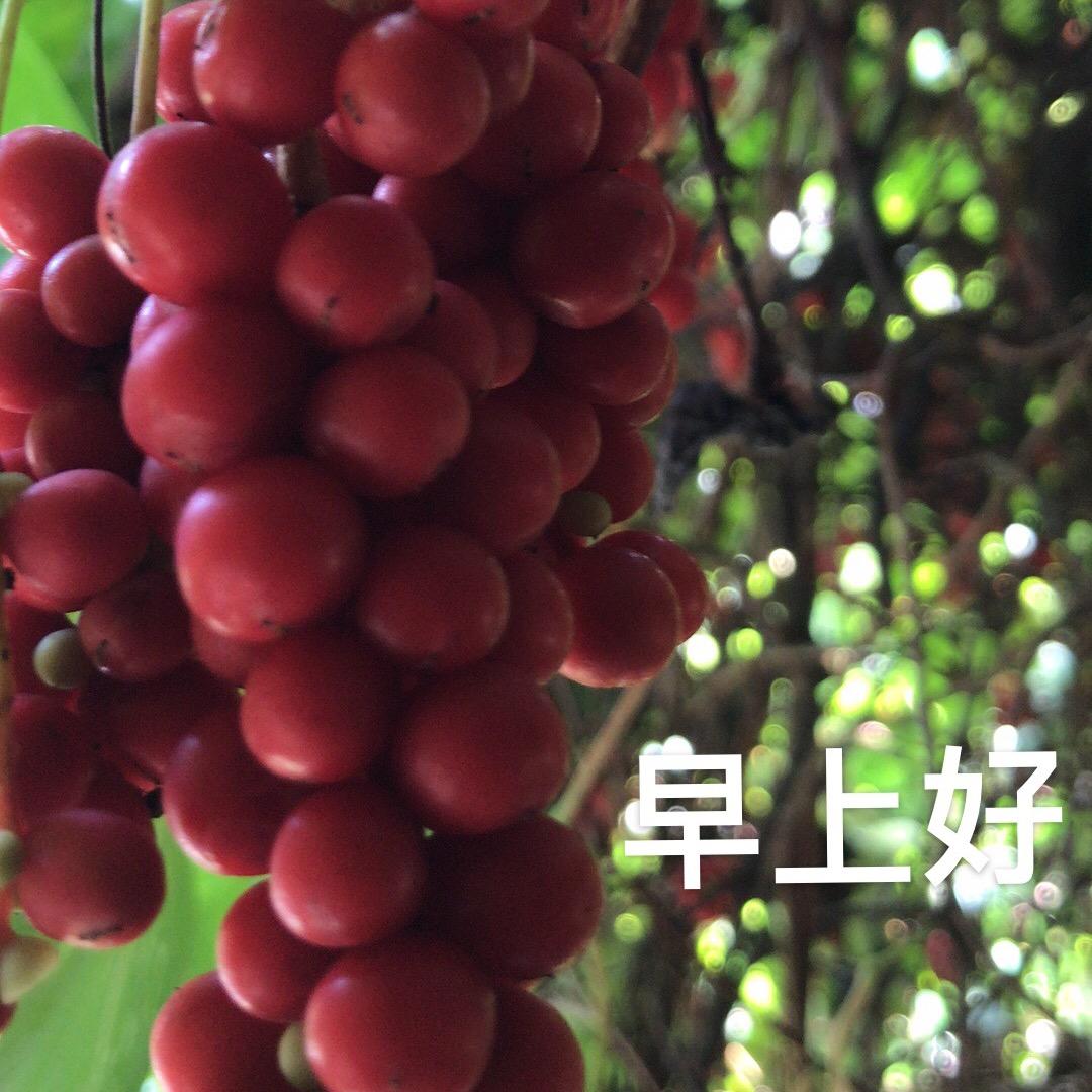 良
