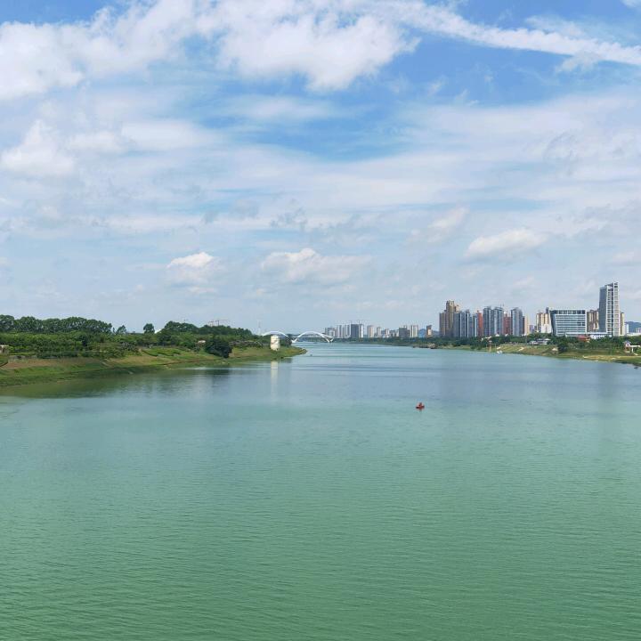 @放飞自我