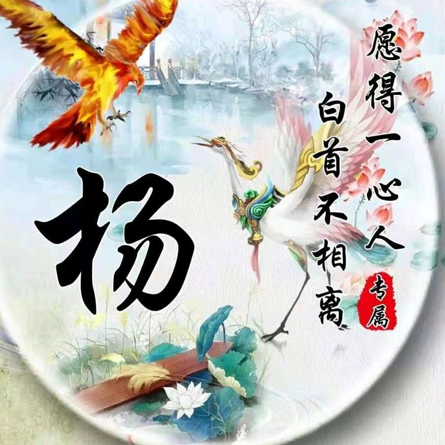 舜扬～棉花糖