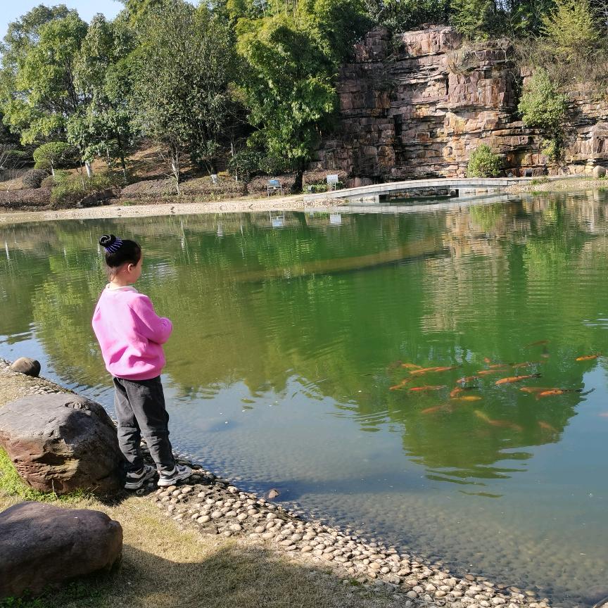 泡泡