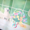 婷星妈