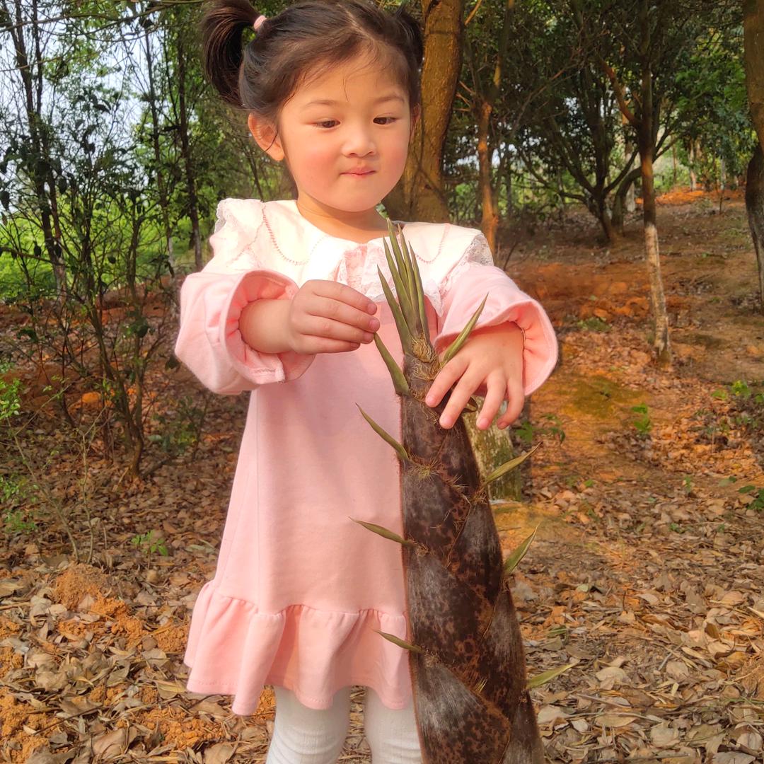 权根梵
