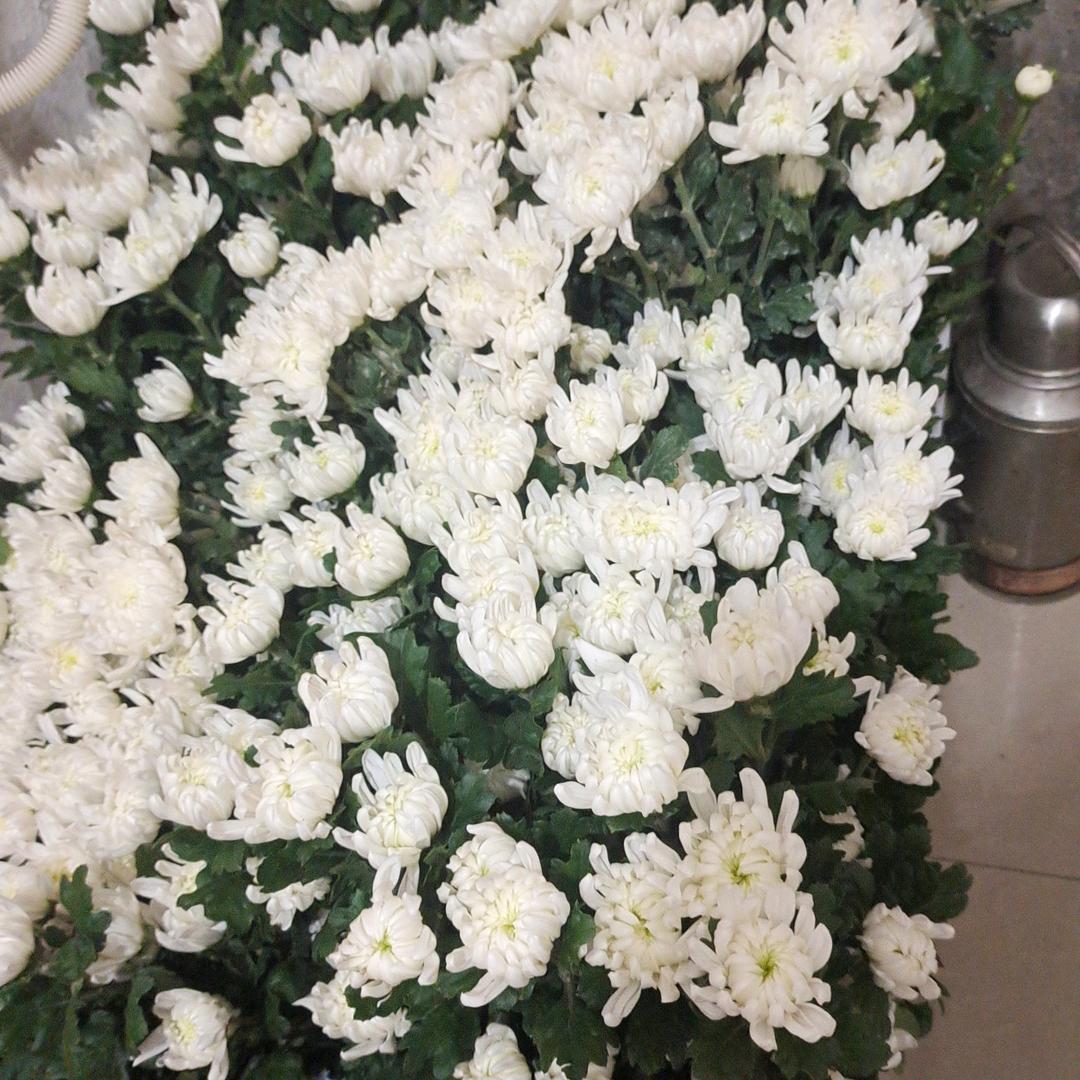 松山路食油公司对